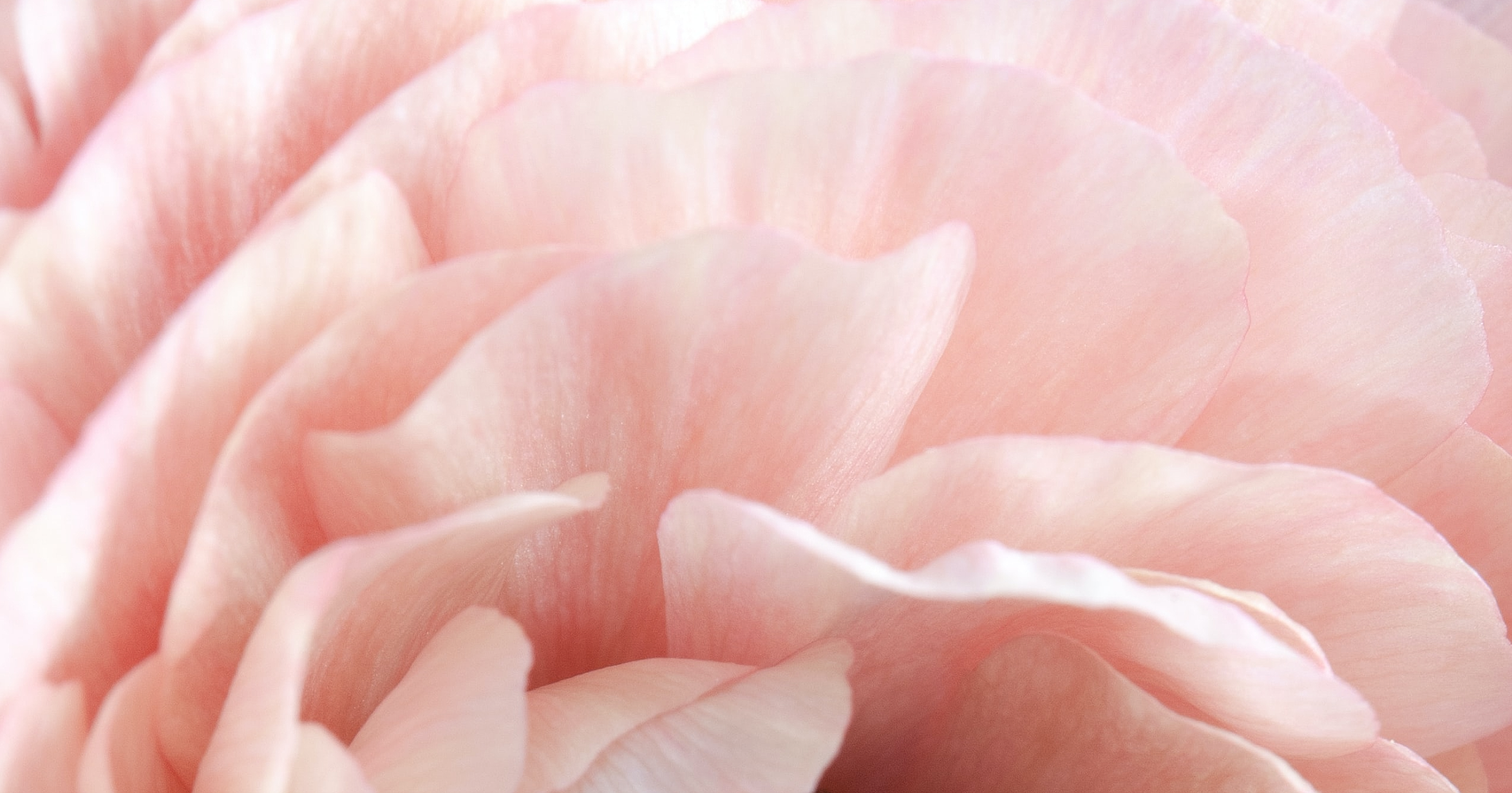 Textured white marble background with subtle patterns.